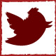 link to the Zombie Run's twitter feed